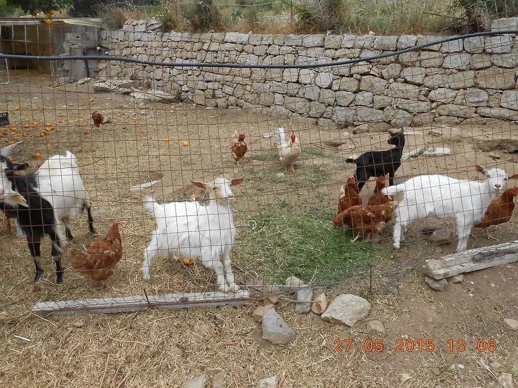 S'Imbragu Farm B&B Tortolì Bed & Breakfast